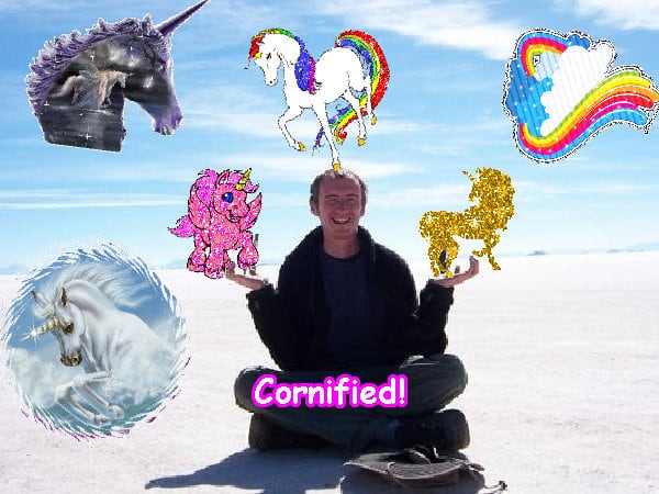 The most merry cute sunny best sunshine