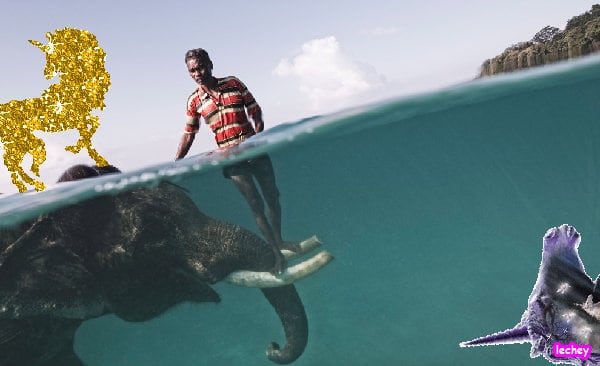 Crazy jolly cute joyful great picture