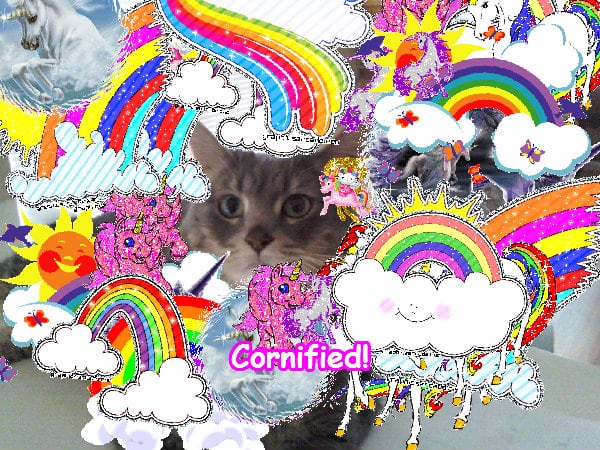 The glad pink cute cute friend