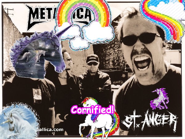 The best best sunny cool fun