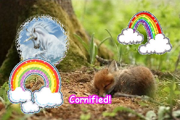 The amazing jolly super super fun