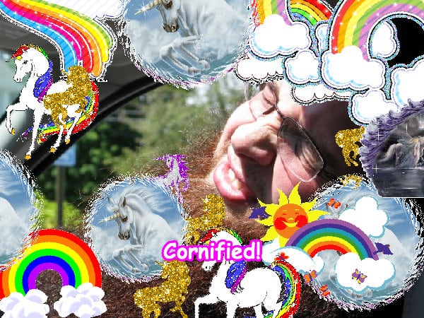 The merry pink divine glad fun