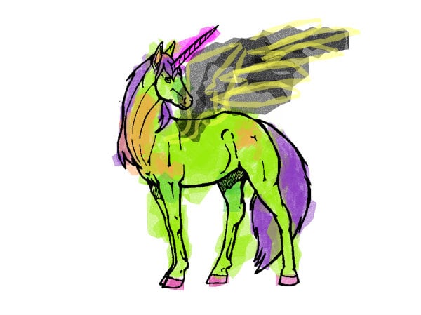 Crazy sunny fun best awesome picture