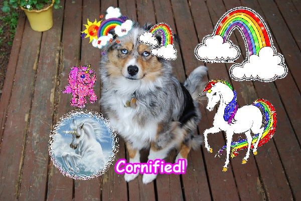 The pink cool cute awesome hug