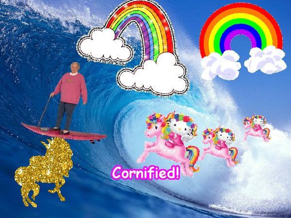 A lovely pink best amazing sunshine