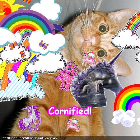 Crazy jolly cute sunny jolly sparkle