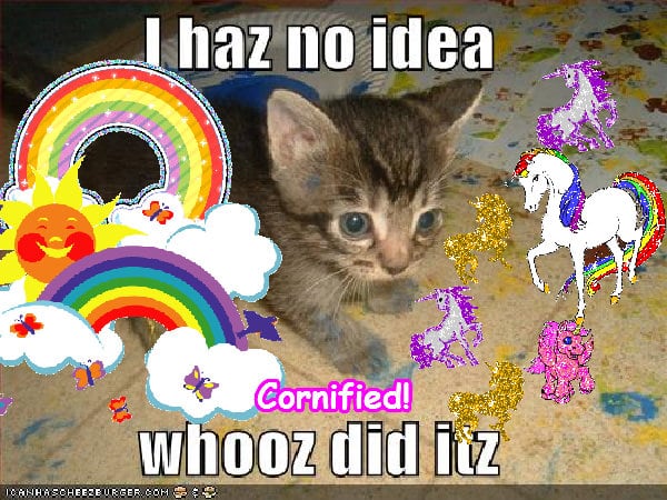 The best great fun sunny super photo