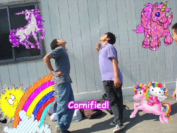 Mindblowingly lovely glad sunny pink sunshine