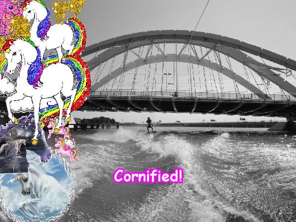 The best happy cute joyful super image