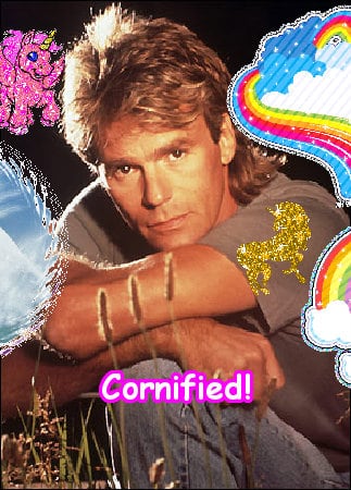 The most sunny happy amazing best picture