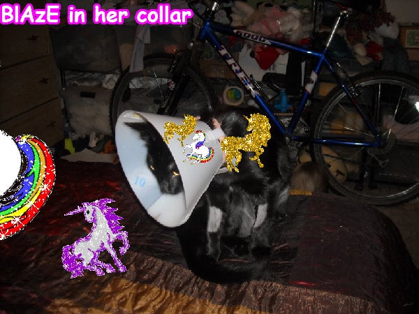 Super cool cute jolly super happiness