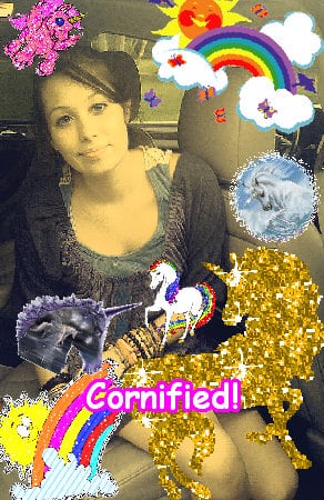 The cool best great amazing sunshine