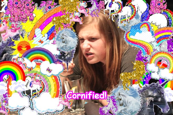 The divine cool divine fun sunshine