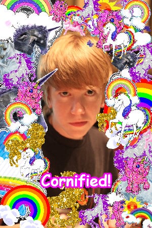 The amazing happy best fun sunshine