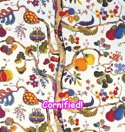 The sunny awesome joyful joyful family