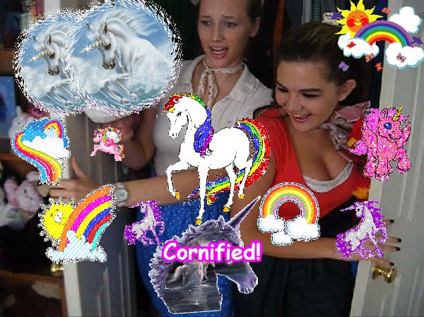 Crazy sunny best fun merry family