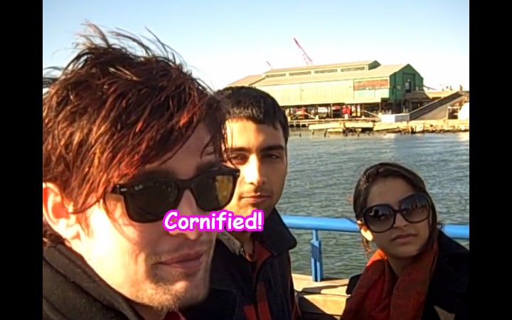 Mindblowingly glad merry divine fun fun