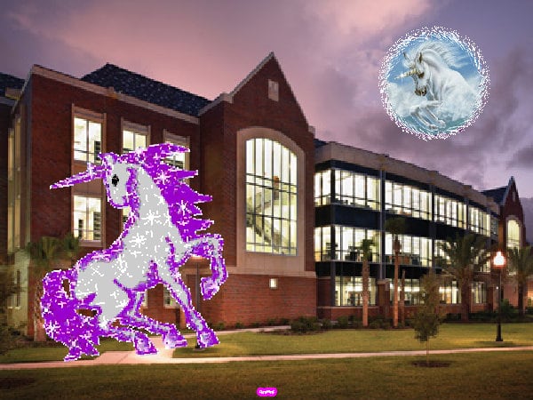 The best glad glad awesome sunny sunshine