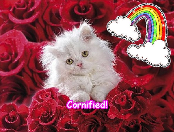 The most fun awesome best awesome family