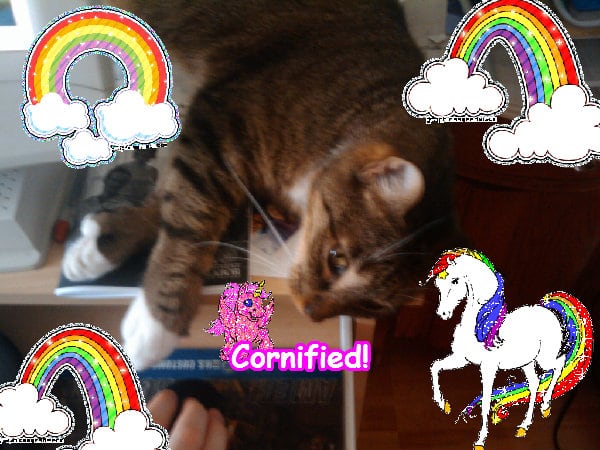 The best glad happy divine joyful friend