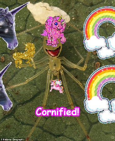 The best cute cool fun great glitter