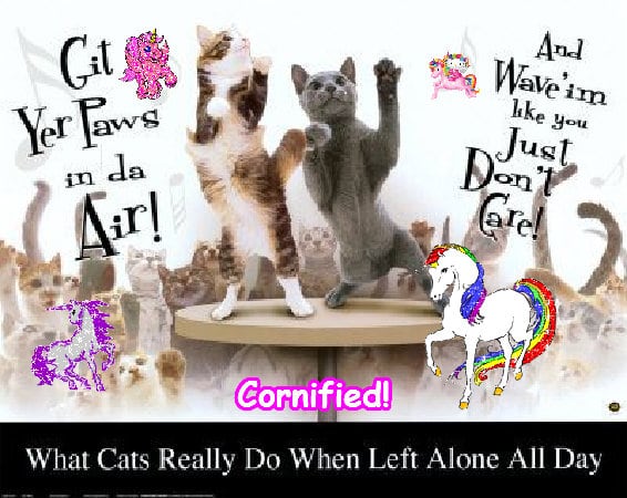 A jolly cute amazing sunny picture