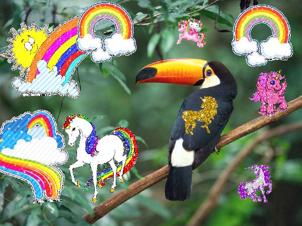 A glad awesome super best rainbow