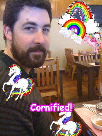 The merry merry super sunny fun