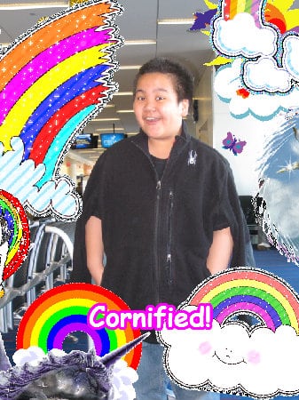 The best sunny cool fun friend