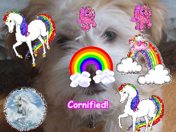 A pink fun glad cool composition