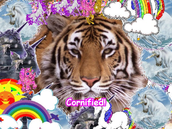 The cool awesome super fun image