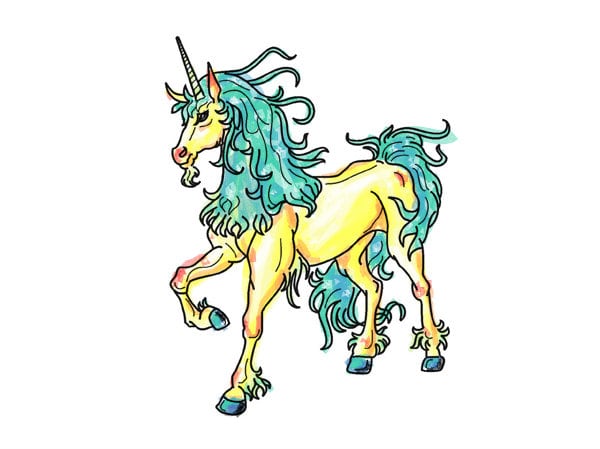 The best awesome sunny fun fun sunshine