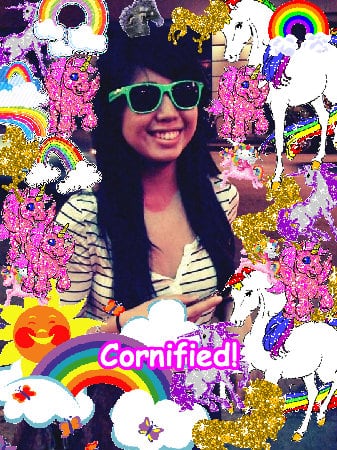 The merry pink fun sunny fun