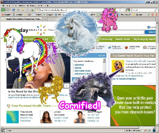 The sunny super sunny joyful fun