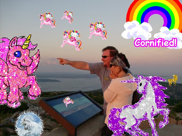 A great pink best pink family