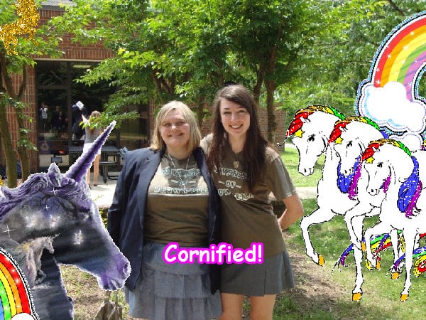 The cute jolly awesome sunny image