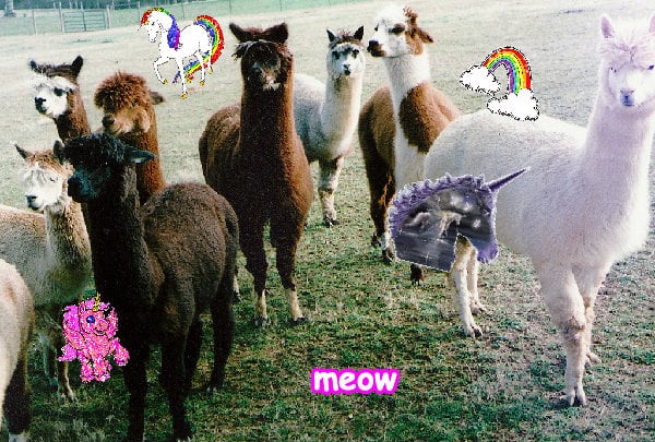 The most awesome jolly joyful amazing picture