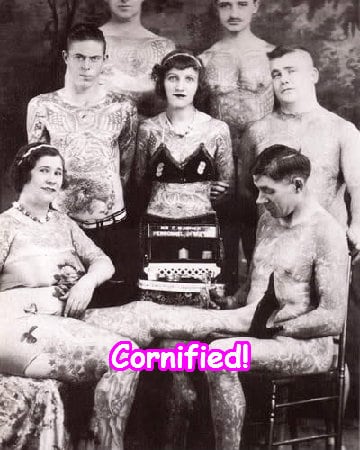 The glad amazing sunny awesome fun