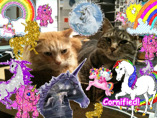 Super fun great lovely cool sunshine