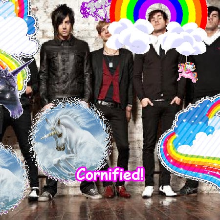 Crazy cool merry best cute photo