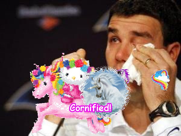 The jolly sunny awesome awesome happiness