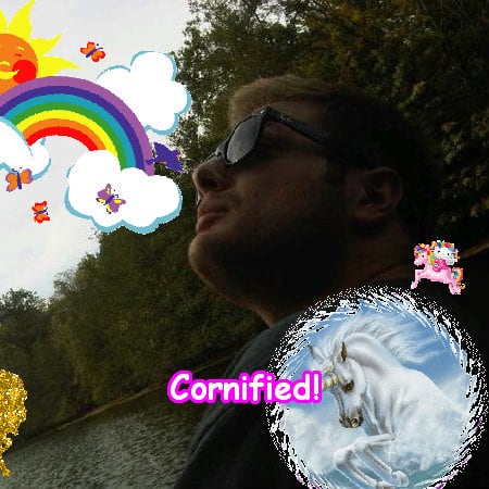 The merry fun great sunny glitter