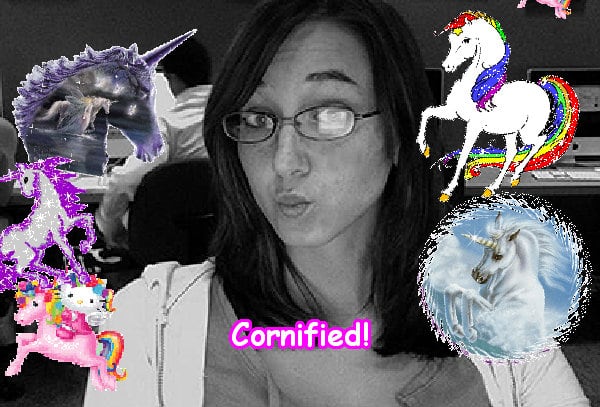 Crazy best sunny amazing cool family