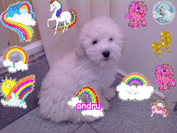 A super joyful lovely lovely image