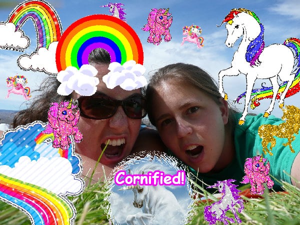 The best lovely sunny jolly pink rainbow