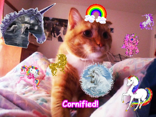 Crazy fun jolly fun amazing happiness