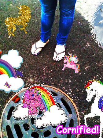 A amazing cool fun cool family