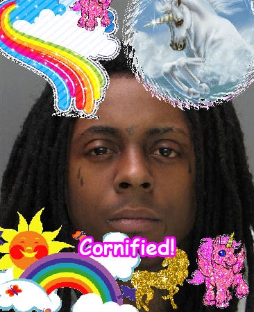 Crazy cute awesome happy lovely fun