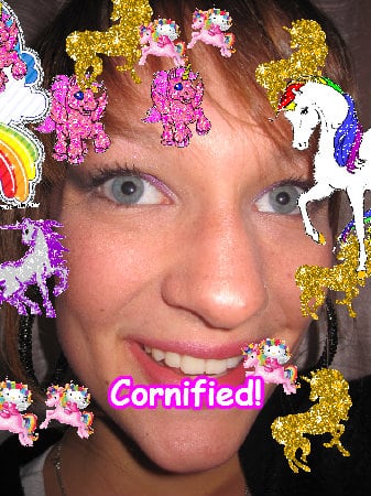 The pink best merry happy unicorn