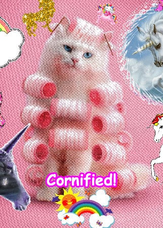 The most sunny joyful happy amazing fun